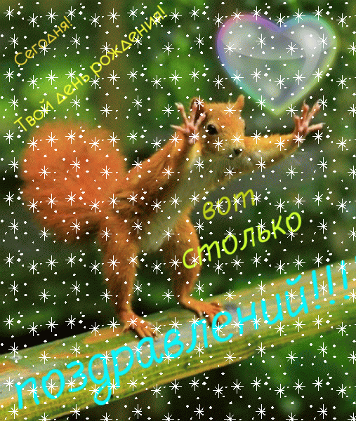 Креативная мерцающая GIF картинка «Звезды» с днём рождения девочке с поздравлениями «Озорная открытка с белочкой (пожелание на день рождения). Для девочки.» Стильная мерцающая GIF открытка «Звезды» с днём рождения девочке с поздравлениями «Озорная открытка с белочкой (пожелание на день рождения). Для девочки.»