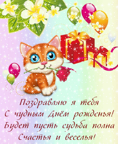 Современная мерцающая GIF открытка «Звезды» с днём рождения девушке с пожеланиями «Чудная картинка для девушки на День Рождение! Котик + цветы и поздравление (шары и подарки)»