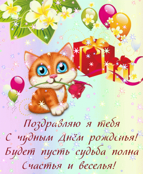 Хорошая мерцающая GIF картинка «Фейерверк» с днём рождения девушке с пожеланиями «Чудная картинка для девушки на День Рождение! Котик + цветы и поздравление (шары и подарки)»