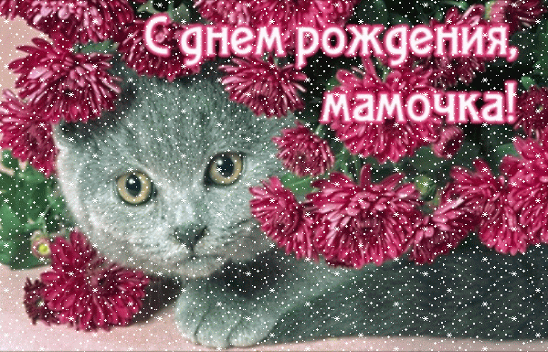 Оригинальная мерцающая GIF картинка «Сердечки» с днём рождения Маме с поздравлениями «Неожиданное поздравление с Днем рождения - картинка с котом: цветы» Красивая мерцающая GIF картинка «Сердечки» с днём рождения Маме с пожеланиями «Неожиданное поздравление с Днем рождения - картинка с котом: цветы»