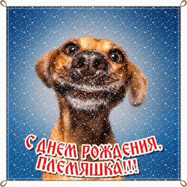 Стильная мерцающая GIF картинка «Сердечки» с днём рождения Племяннице с поздравлениями «Прикольная открытка для племяшки С ДНЁМ РОЖДЕНИЯ! На синем фоне пёс смеется + надпись.» Лучшая мерцающая GIF открытка «Сердечки» с днём рождения Племяннице с поздравлениями «Прикольная открытка для племяшки С ДНЁМ РОЖДЕНИЯ! На синем фоне пёс смеется + надпись.»