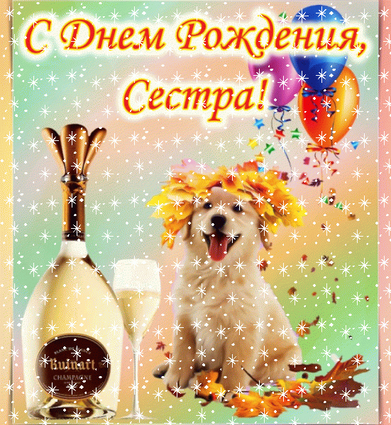 Хорошая мерцающая GIF картинка «Снег» с днём рождения Сестре с пожеланиями «Открытка с собакой на День Рождения сестре! Вино + воздушные шарики»