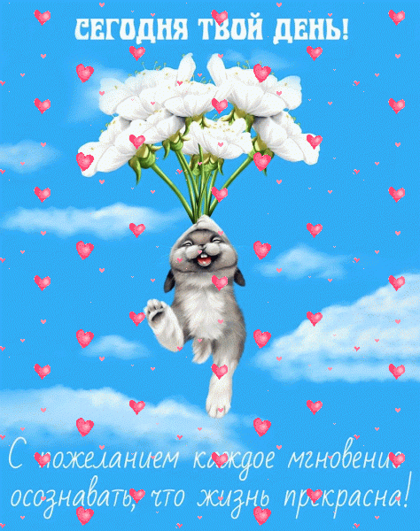 Лучшая мерцающая GIF открытка «Фейерверк» с днём рождения Сестре с пожеланиями «Зайка поднимается в небо! Забавная открытка на День Рождения сестре» Лучшая мерцающая GIF картинка «Фейерверк» с днём рождения Сестре с поздравлениями «Зайка поднимается в небо! Забавная открытка на День Рождения сестре»