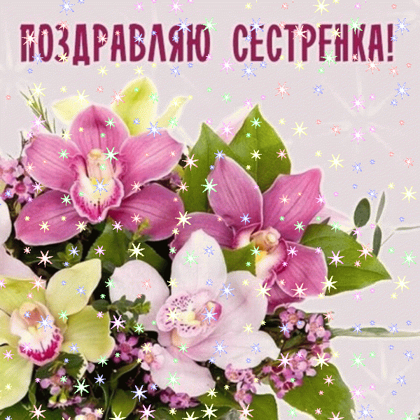 Современная анимационная GIF открытка «Звезды» с днём рождения Сестре с пожеланиями «Картинка с поздравлением сестренке на День Рождения! Красивый букет орхидей»