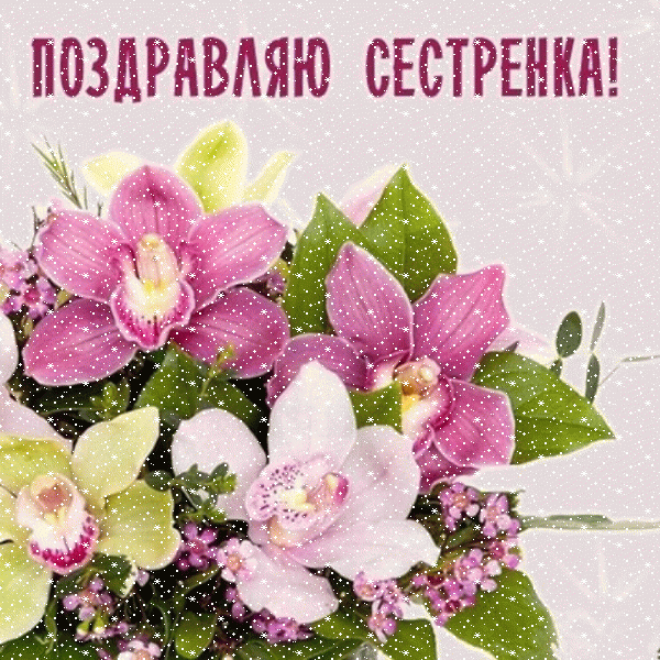 Хорошая анимационная GIF открытка «Сердечки» с днём рождения Сестре с поздравлениями «Картинка с поздравлением сестренке на День Рождения! Красивый букет орхидей»