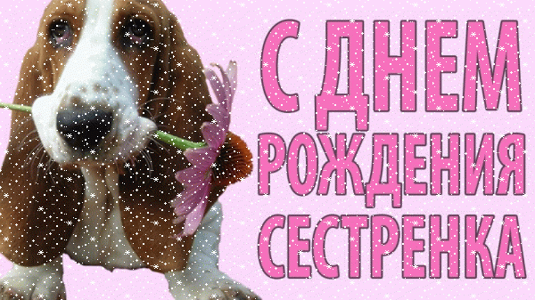 Современная анимационная GIF картинка «Сердечки» с днём рождения Сестре с поздравлениями «С Днем Рождения СЕСТРЕНКА! Картинка с собакой Такса» Хорошая мерцающая GIF открытка «Сердечки» с днём рождения Сестре с пожеланиями «С Днем Рождения СЕСТРЕНКА! Картинка с собакой Такса»