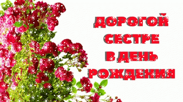 Креативная мерцающая GIF открытка «Снег» с днём рождения Сестре с пожеланиями «Красивая картинка на День Рождения сестре (красные цветы и надпись)» Стильная анимационная GIF открытка «Снег» с днём рождения Сестре с пожеланиями «Красивая картинка на День Рождения сестре (красные цветы и надпись)»