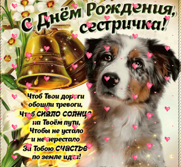 Оригинальная анимационная GIF картинка «Фейерверк» с днём рождения Сестре с пожеланиями «Трогательное поздравление в стихах на День Рождения сестре (картинка с колокольчиками и собакой)» Красивая мерцающая GIF открытка «Фейерверк» с днём рождения Сестре с поздравлениями «Трогательное поздравление в стихах на День Рождения сестре (картинка с колокольчиками и собакой)»