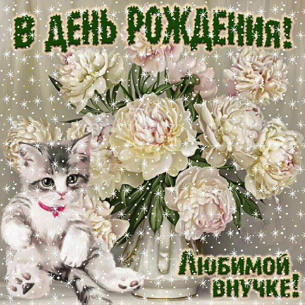 Оригинальная анимационная GIF открытка «Снег» с днём рождения Внучке с поздравлениями «Картинка на День Рождения любимой внучке! Котенок и красивый букет цветов» Стильная анимационная GIF открытка «Снег» с днём рождения Внучке с пожеланиями «Картинка на День Рождения любимой внучке! Котенок и красивый букет цветов»