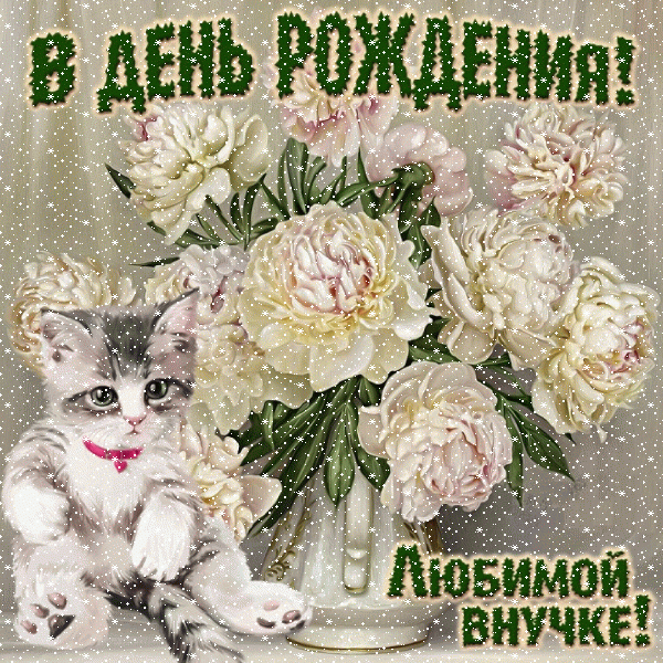 Современная мерцающая GIF картинка «Сердечки» с днём рождения Внучке с пожеланиями «Картинка на День Рождения любимой внучке! Котенок и красивый букет цветов» Поздравительная анимационная GIF картинка «Сердечки» с днём рождения Внучке с пожеланиями «Картинка на День Рождения любимой внучке! Котенок и красивый букет цветов»